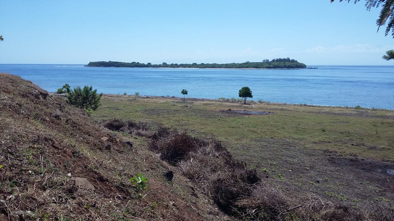 FLGili18  |  Indo Investments
